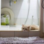Loofah Bath Mat For Tub: 7 Proven Tips for an Easy, Non-Slip Shower Experience