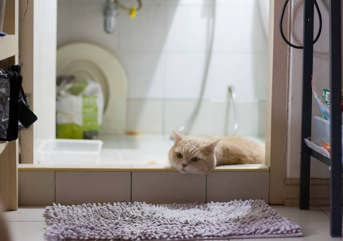 Loofah Bath Mat For Tub: 7 Proven Tips for an Easy, Non-Slip Shower Experience